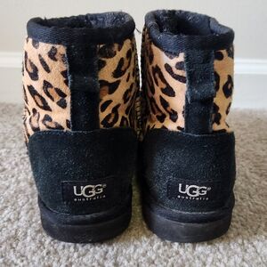 Cheetah Uggs